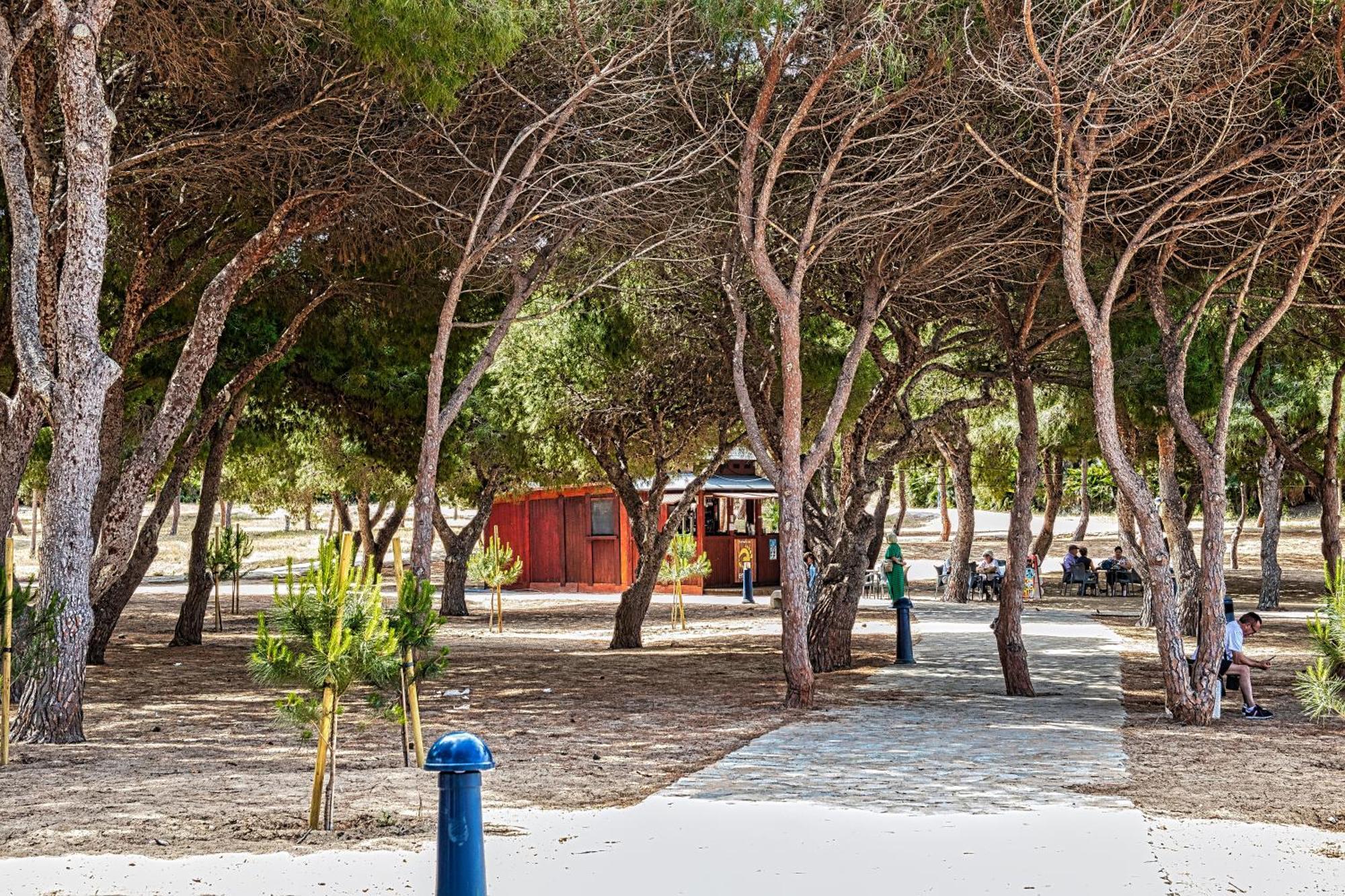 Estudio Arpón Cala del Pino La Manga del Mar Menor Exterior foto